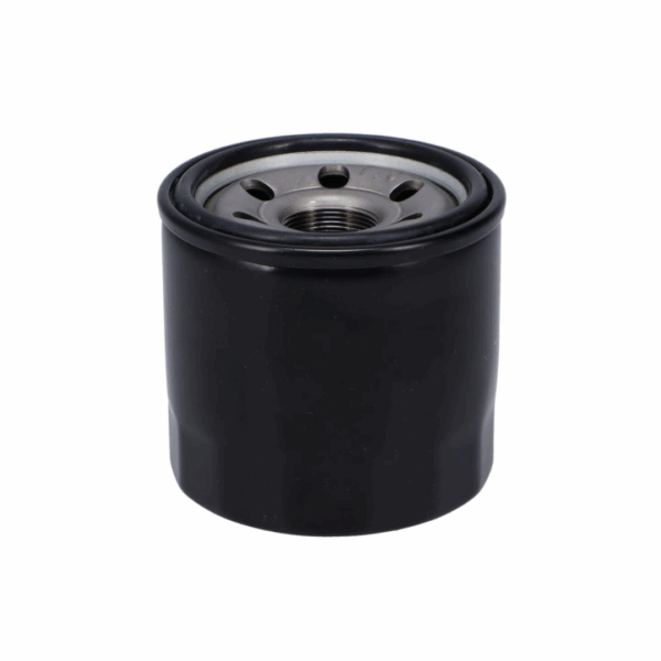 Filtro De Aceite Suzuki Gw250 / Dl650 / Gsr750 - Imagen 3
