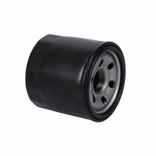 Filtro De Aceite Suzuki Gw250 / Dl650 / Gsr750