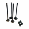 Kit Valvulas Con Retenes Pulsar NS 150 / NS 160