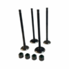 Kit Valvulas Con Retenes Pulsar NS 150 / NS 160 - Imagen 2