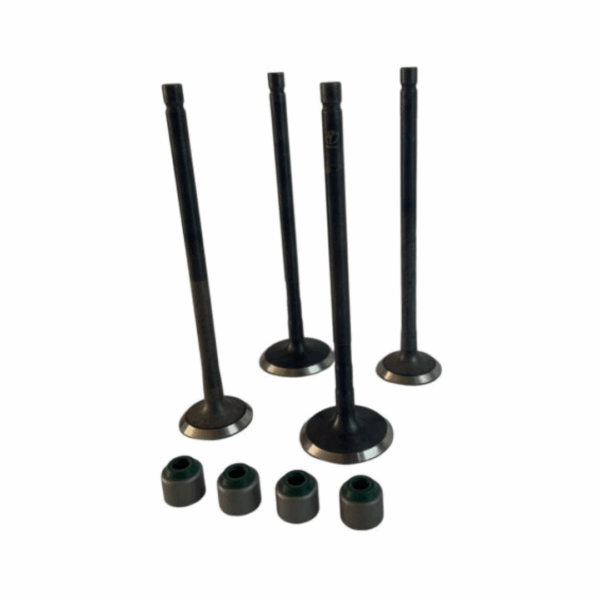 Kit Valvulas Con Retenes Pulsar NS 150 / NS 160 - Imagen 2