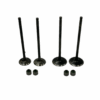 Kit Valvulas Admision Y Escape Pulsar Bajaj Ns 200/ Rs 200