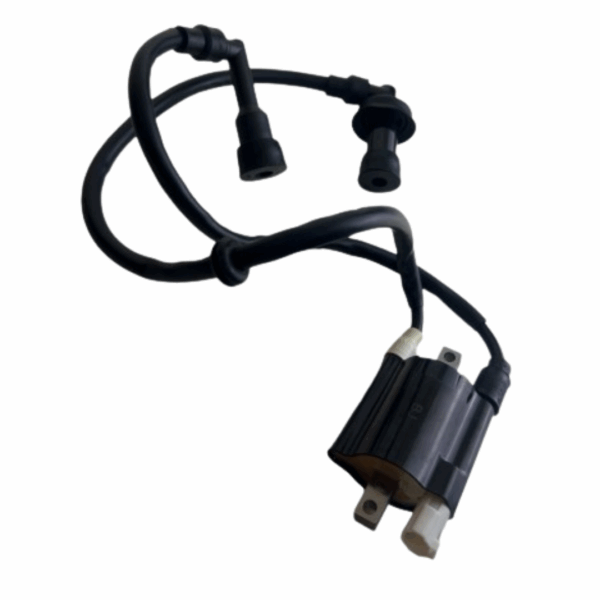 Bobina De Encendido Lateral Pulsar Ns 200 (Doble Bujia)