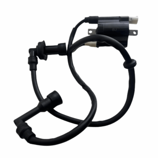 Bobina De Encendido Lateral Pulsar Ns 200 (Doble Bujia) - Imagen 4