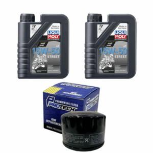 Kit De Mantencion Bmw G310 Gs /g310r