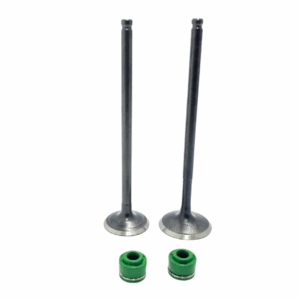 Kit Valvulas Admision Y Escape Para Rks 125 Keeway