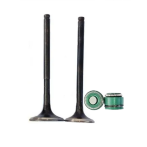Kit Válvulas Motor Con Retenes Honda Invicta Cb 150