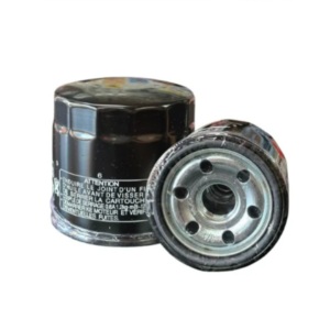 Filtro Aceite Cf Moto Nk400 Protech