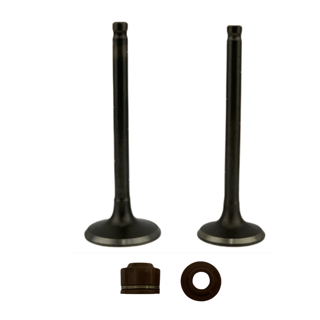 Kit Valvulas Con Retenes Honda Cb1 / Twister 125